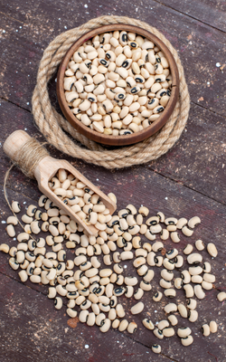 Cowpea